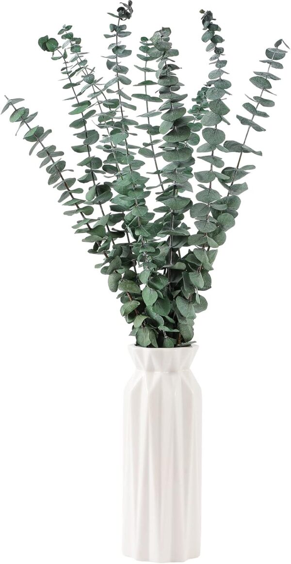 10 Pcs Dried Eucalyptus Stems 17" Real Eucalyptus for Shower...