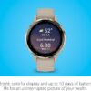 Garmin Venu 3S Soft Gold Stainless Steel Bezel 1.2-Inch AMOL...