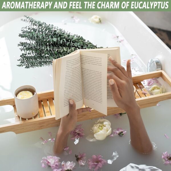 10 Pcs Dried Eucalyptus Stems 17" Real Eucalyptus for Shower...