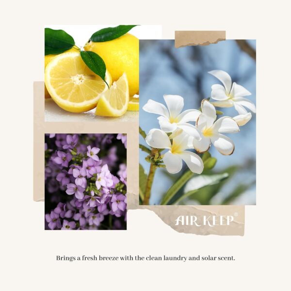 711beGpZu1L._AC_SL1500_.jpg Airkeep Reed Diffuser Set,3.38 fl oz (100 ml) - Clean Linen ...