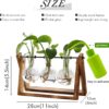 71OYteyxs7L._AC_SL1500_.jpg XXXFLOWER Plant Terrarium with Wooden Stand, Air Planter Bul...