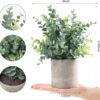 819AjHDHXnL._AC_SL1500_.jpg 2 Pack Small Fake Plants Eucalyptus Potted Artificial Plants...