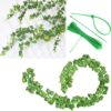 81b3pK-xgsL._AC_SL1500_.jpg 12 Pack Fake Vines for Room Decor Artificial Ivy Garland wit...