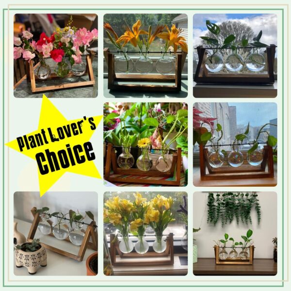 81yccnyjryL._AC_SL1500_.jpg XXXFLOWER Plant Terrarium with Wooden Stand, Air Planter Bul...