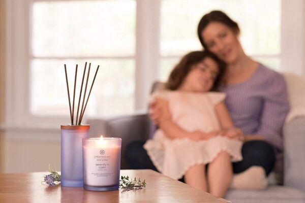 Chesapeake Bay Candle Medium Jar Scented Candle, Serenity + ...