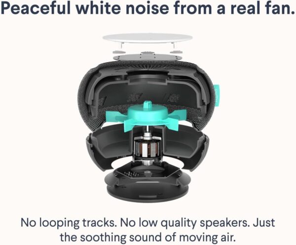 61fGd5fYsmL._AC_SL1500_.jpg SNOOZ Smart White Noise Sound Machine - Real Fan Inside for ...