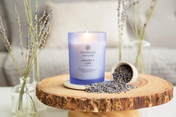 Chesapeake Bay Candle Medium Jar Scented Candle, Serenity + ...