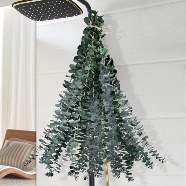 12 Pcs Dried Eucalyptus for Shower Hanging - 17'' Real Large...