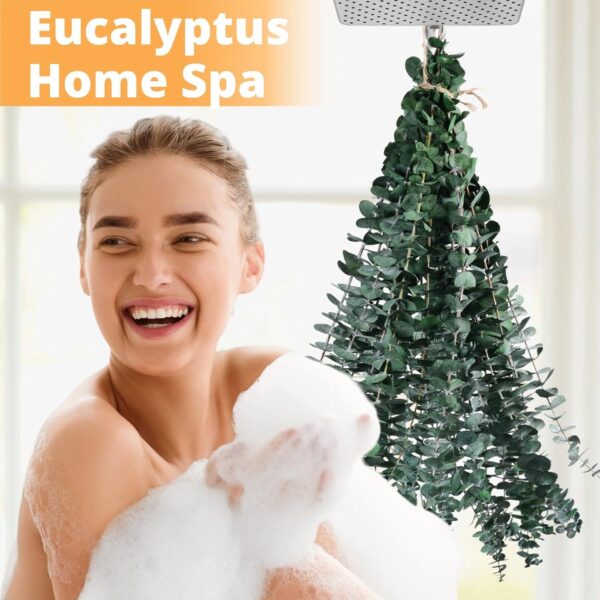 12 Pcs Dried Eucalyptus for Shower Hanging - 17'' Real Large...