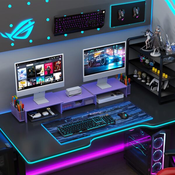 gianotter Dual Monitor Stand Riser, Desk Organizer With Draw...