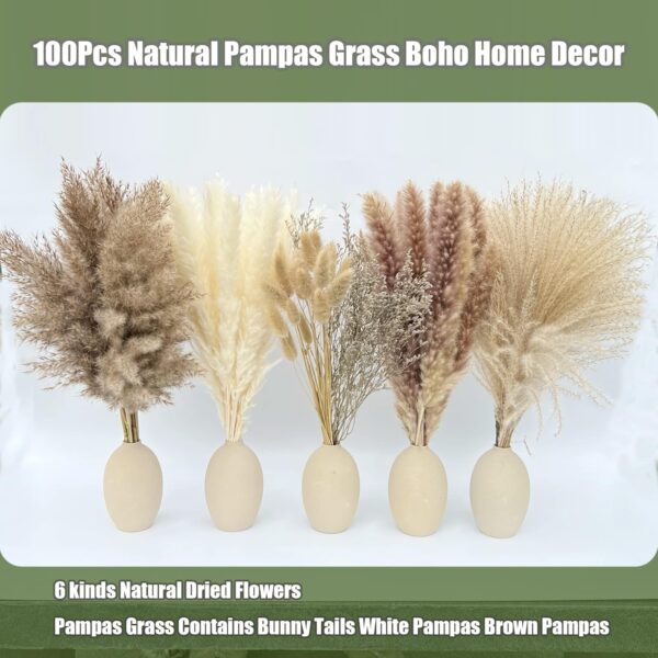 81GIaEkmrNL._AC_SL1500_.jpg 100Pcs Pampas Grass Boho Home Decor 17 inch Natural Dried Fl...