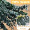 12 Pcs Dried Eucalyptus for Shower Hanging - 17'' Real Large...