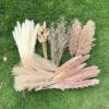 100Pcs Pampas Grass Boho Home Decor 17 inch Natural Dried 100Pcs Pampas Grass Boho Home Decor 17 inch Natural Dried Fl...