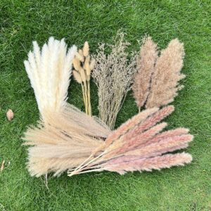 100Pcs Pampas Grass Boho Home Decor 17 inch Natural Dried 100Pcs Pampas Grass Boho Home Decor 17 inch Natural Dried Fl...