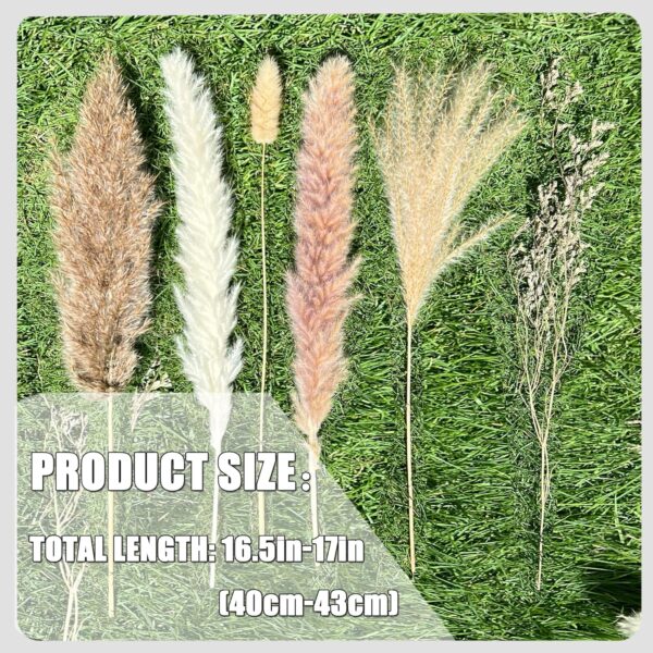 91XKyPUgNiL._AC_SL1500_.jpg 100Pcs Pampas Grass Boho Home Decor 17 inch Natural Dried Fl...