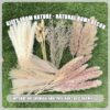 A1iHMWYNkoL._AC_SL1500_.jpg 100Pcs Pampas Grass Boho Home Decor 17 inch Natural Dried Fl...