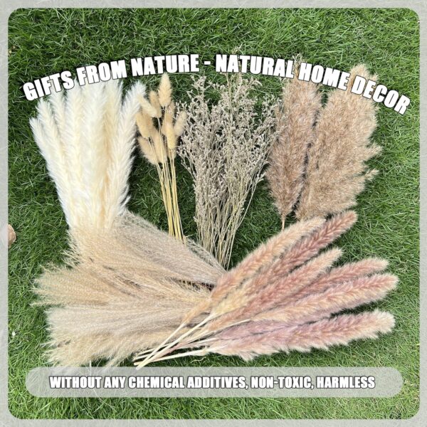A1iHMWYNkoL._AC_SL1500_.jpg 100Pcs Pampas Grass Boho Home Decor 17 inch Natural Dried Fl...