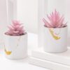 61VeydSEuYL._AC_SL1500_.jpg Der Rose Set of 2 Succulents Plants Artificial Mini Fake Suc...