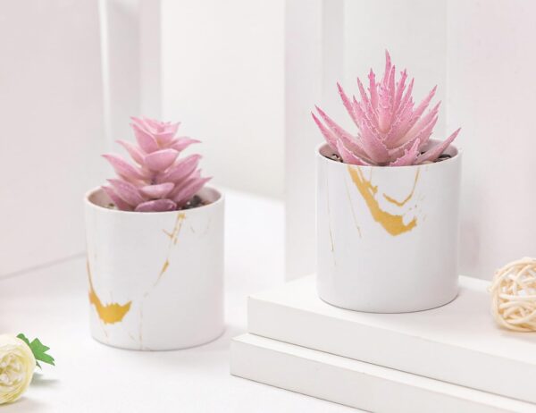 61VeydSEuYL._AC_SL1500_.jpg Der Rose Set of 2 Succulents Plants Artificial Mini Fake Suc...
