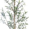 7.6FT (92'') Olive Tree Tall Skinny Artificial Plants for Ho... 7.6FT (92'') Olive Tree Tall Skinny Artificial Plants for Ho...