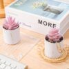 71WUln98NZL._AC_SL1500_.jpg Der Rose Set of 2 Succulents Plants Artificial Mini Fake Suc...