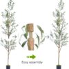 71nbzWfyKYL._AC_SL1500_.jpg 7.6FT (92'') Olive Tree Tall Skinny Artificial Plants for Ho...