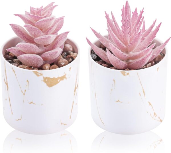 Der Rose Set of 2 Succulents Plants Artificial Mini Fake Der Rose Set of 2 Succulents Plants Artificial Mini Fake Suc...