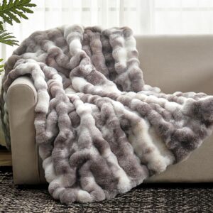 Cozy Bliss Faux Fur Throw Blanket for Couch, Fuzzy Soft Cozy Bliss Faux Fur Throw Blanket for Couch, Fuzzy Soft Plus...
